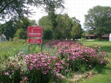 baum park pink flowers