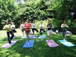 women doing yoga in the grass